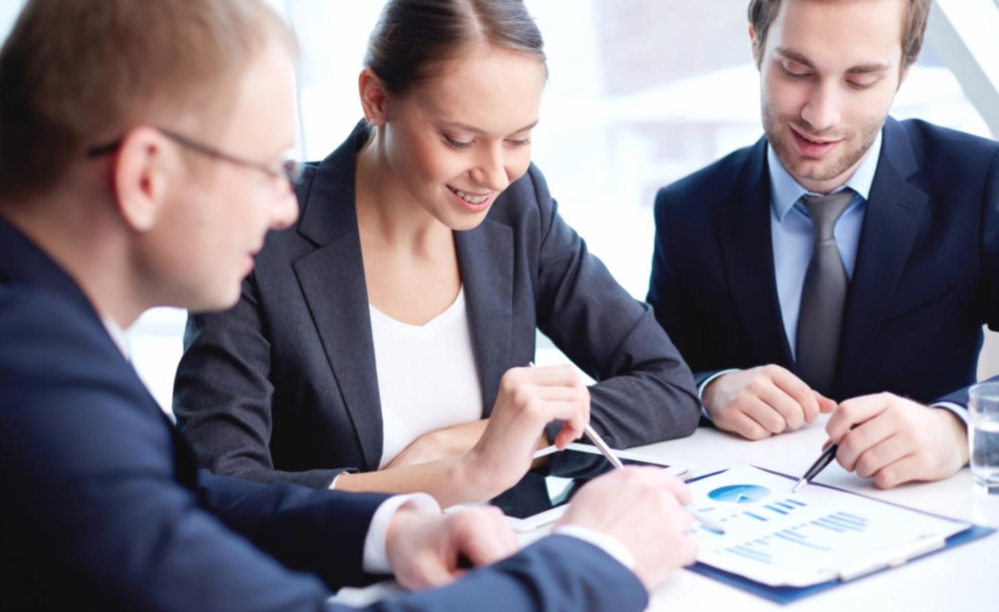 Professional business consultation meeting in modern office setting